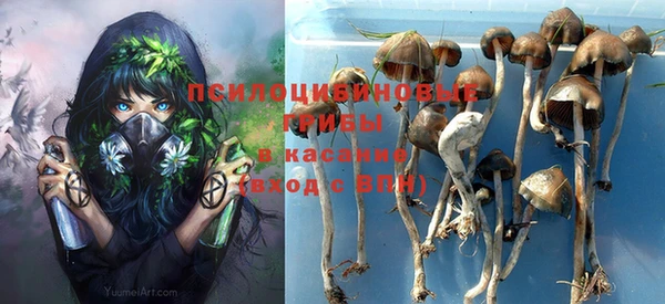 не бодяженный Аркадак