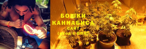 ПСИЛОЦИБИНОВЫЕ ГРИБЫ Армянск