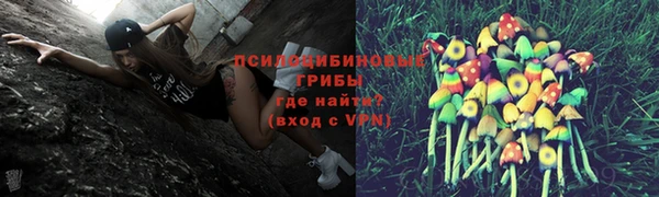 ПСИЛОЦИБИНОВЫЕ ГРИБЫ Армянск