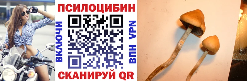 Псилоцибиновые грибы MAGIC MUSHROOMS  Ивдель 
